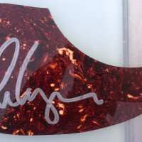 Alice Cooper - Signed Pick Gaurd